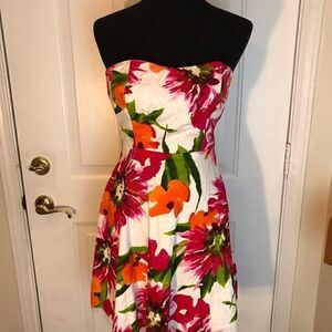 NWT Gorgeous Flattering Size 1 Dress!